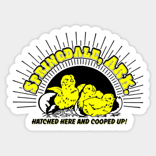 Springdale Chicks Sticker